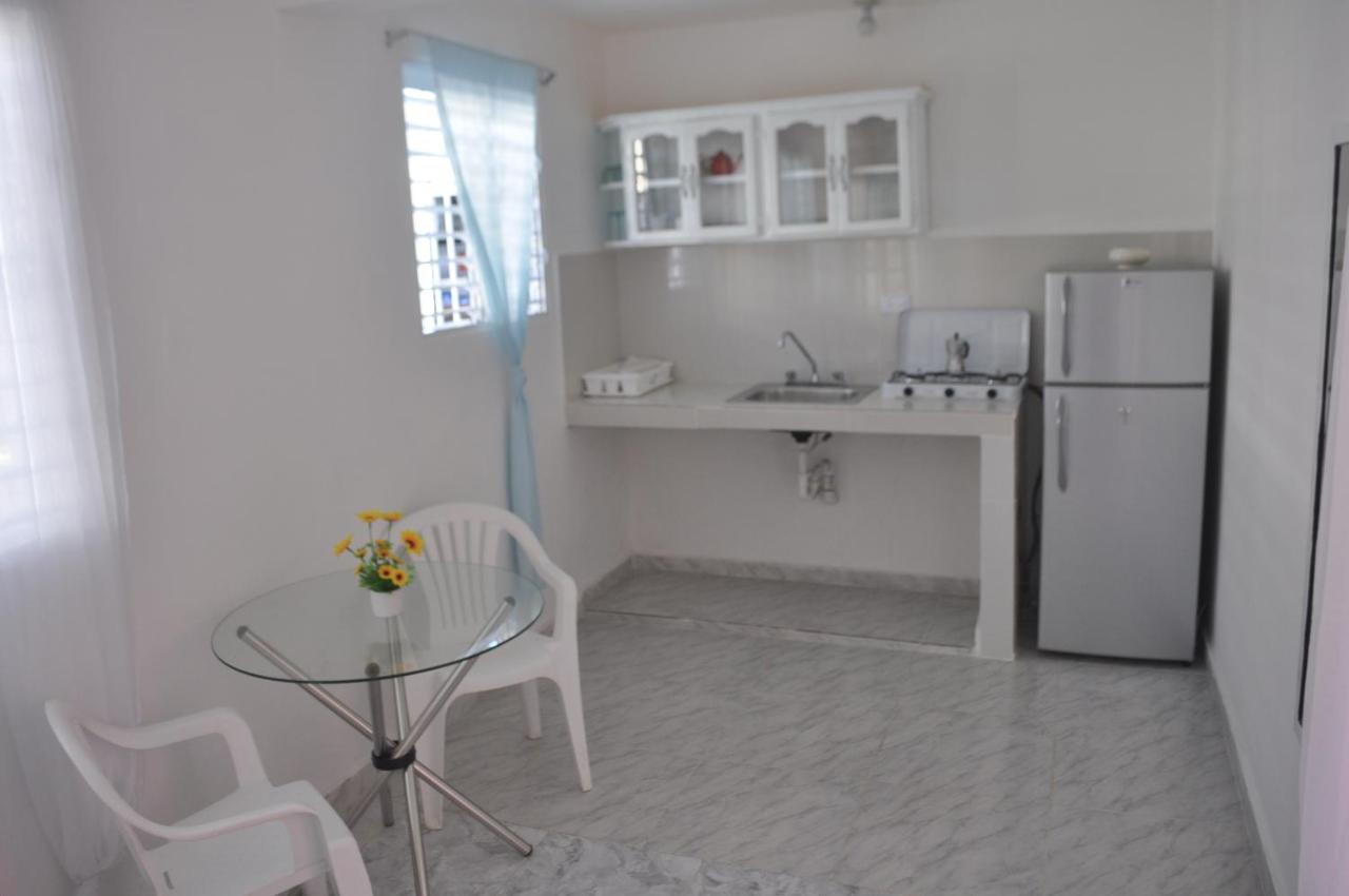 Residencial Lucy Apartment Бока Чика Екстериор снимка